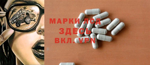 прущие грибы Вяземский