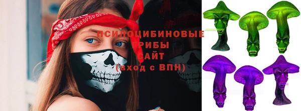 прущие грибы Вяземский