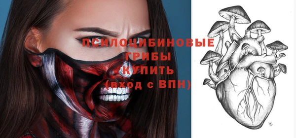 прущие грибы Вяземский