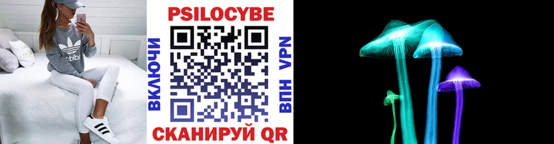 Галлюциногенные грибы MAGIC MUSHROOMS  Купить закладки  Невель 